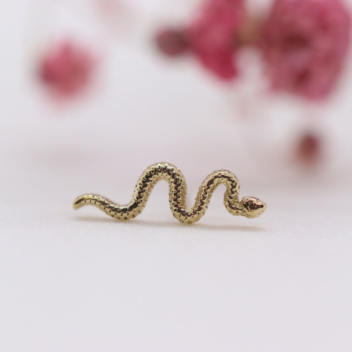 BVLA delicate snake