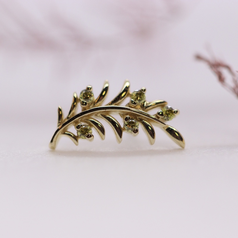 Olive branch - Junipurr