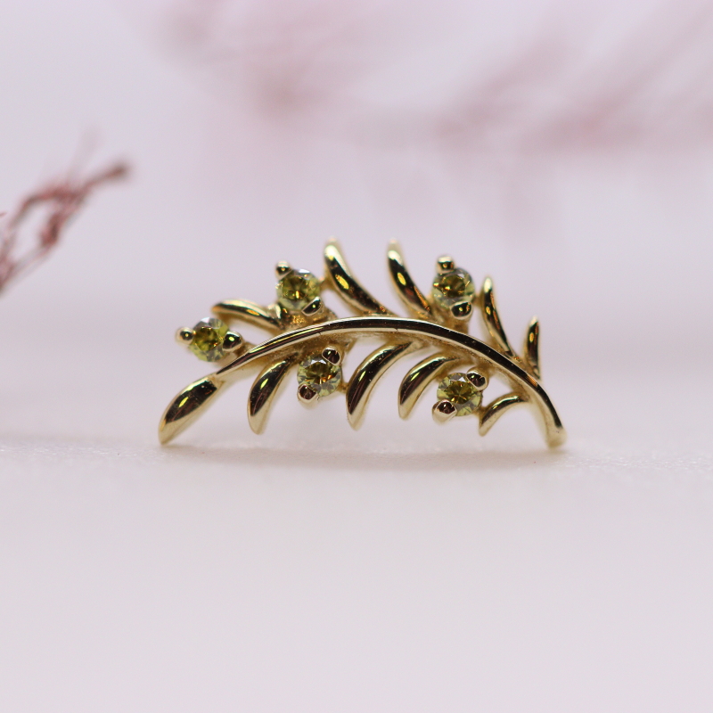 Olive branch - Junipurr