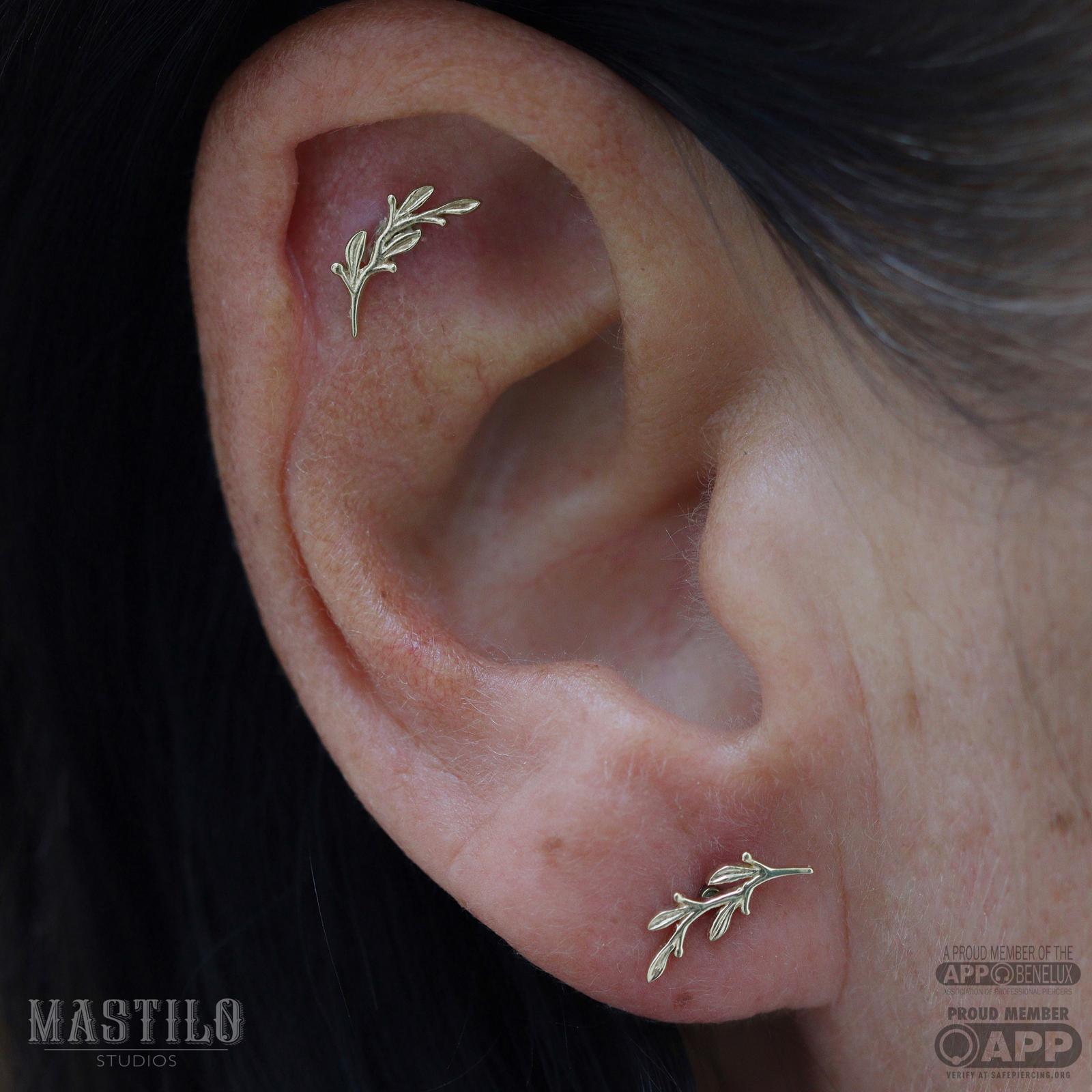 Scapha piercing sieraden