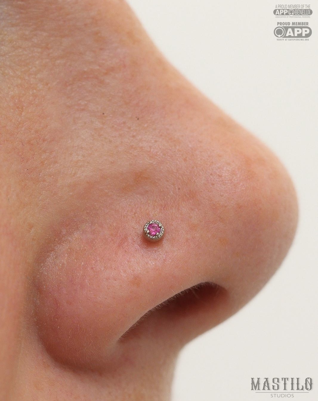 Neusvleugel piercing sieraden