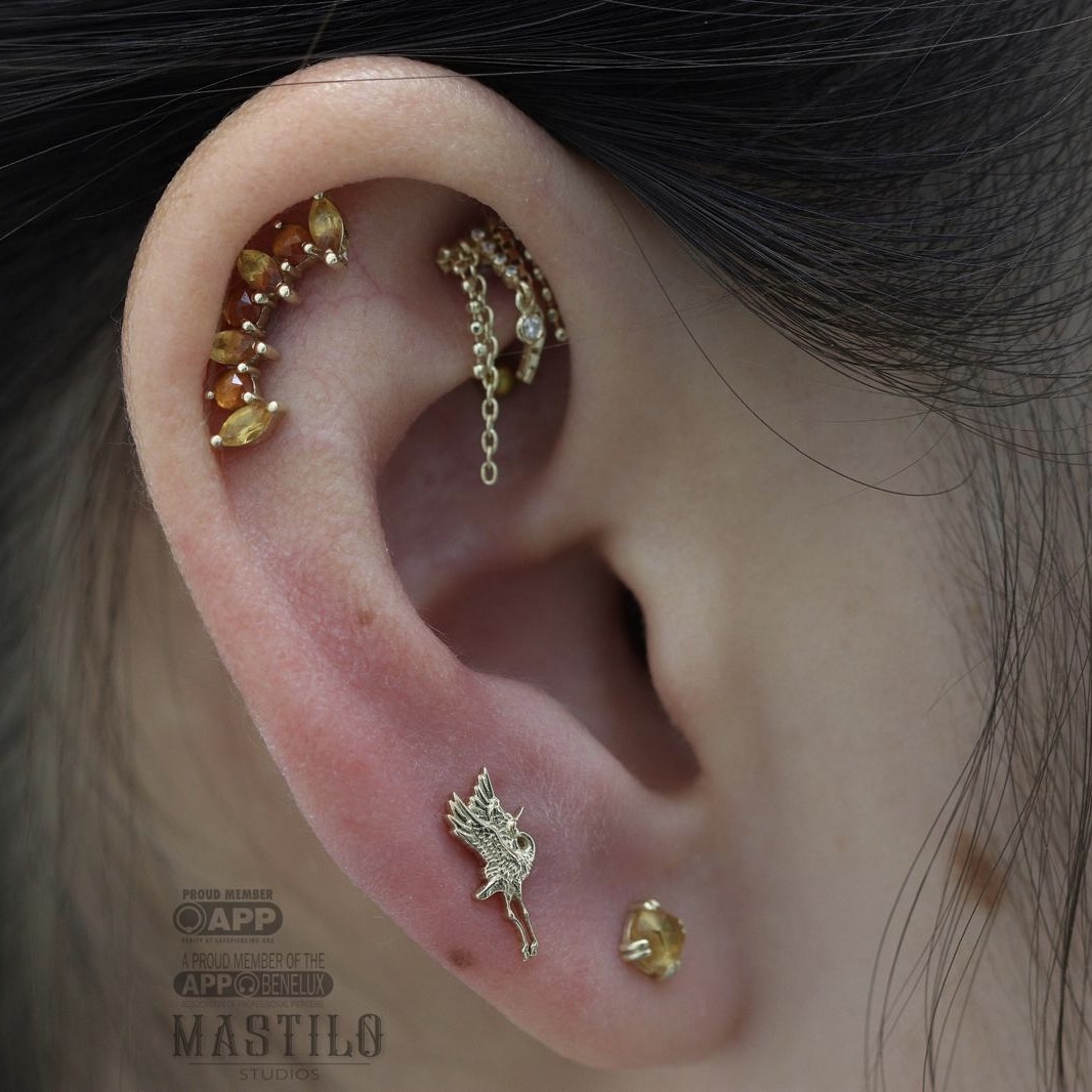 Rook piercings sieraden
