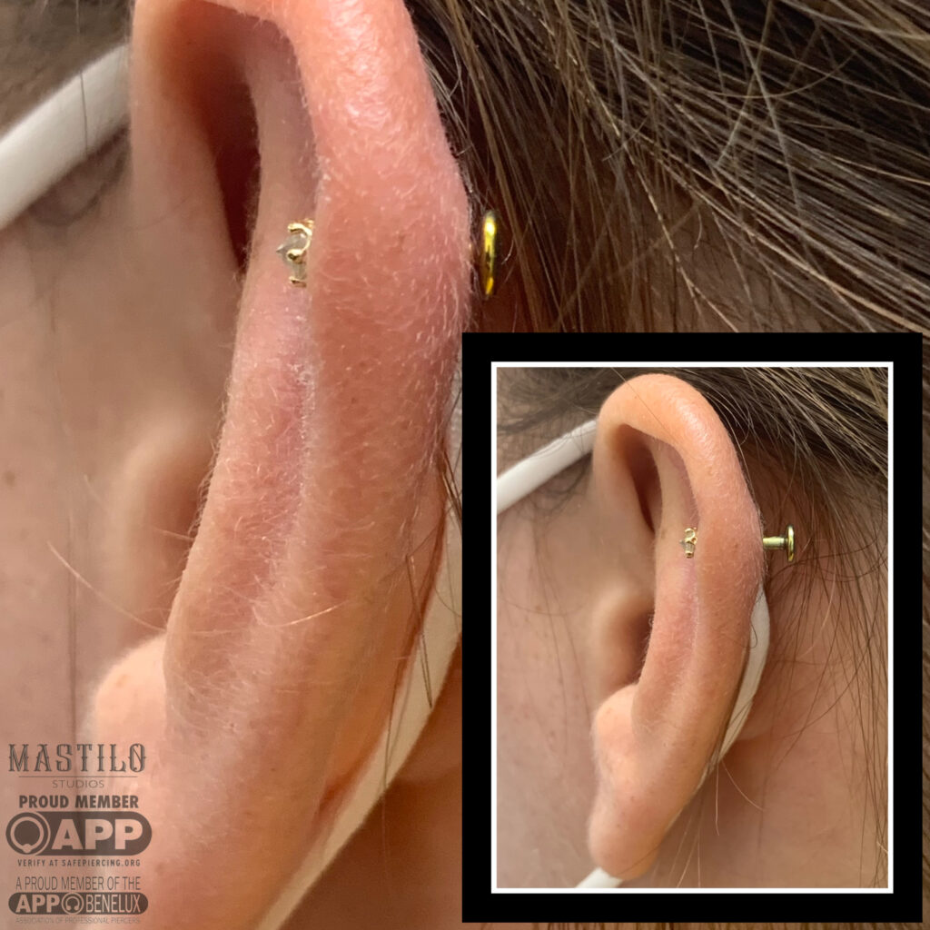 piercing downsizen 1