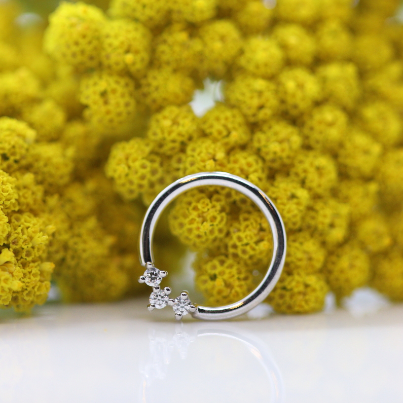 Muse seamring - White Diamond - WG