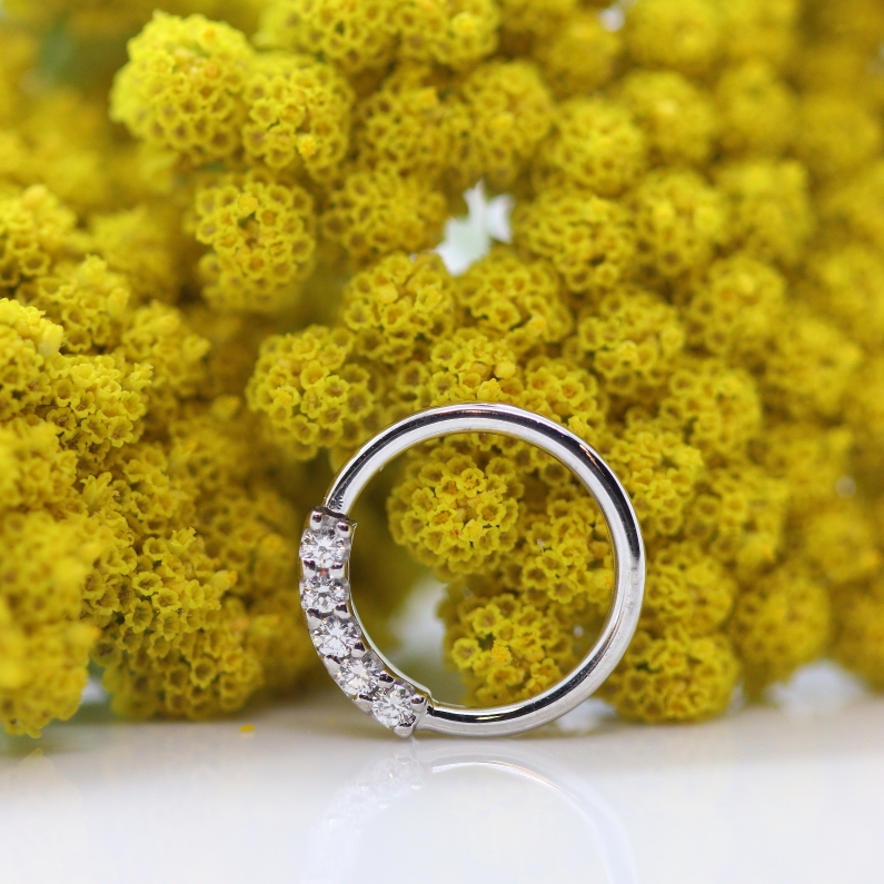 5 Gem Blaze seamring - White Diamond - WG