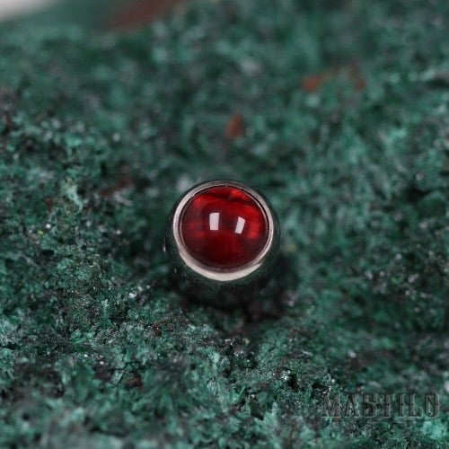 Captive gem bezel - Red Paua Shell