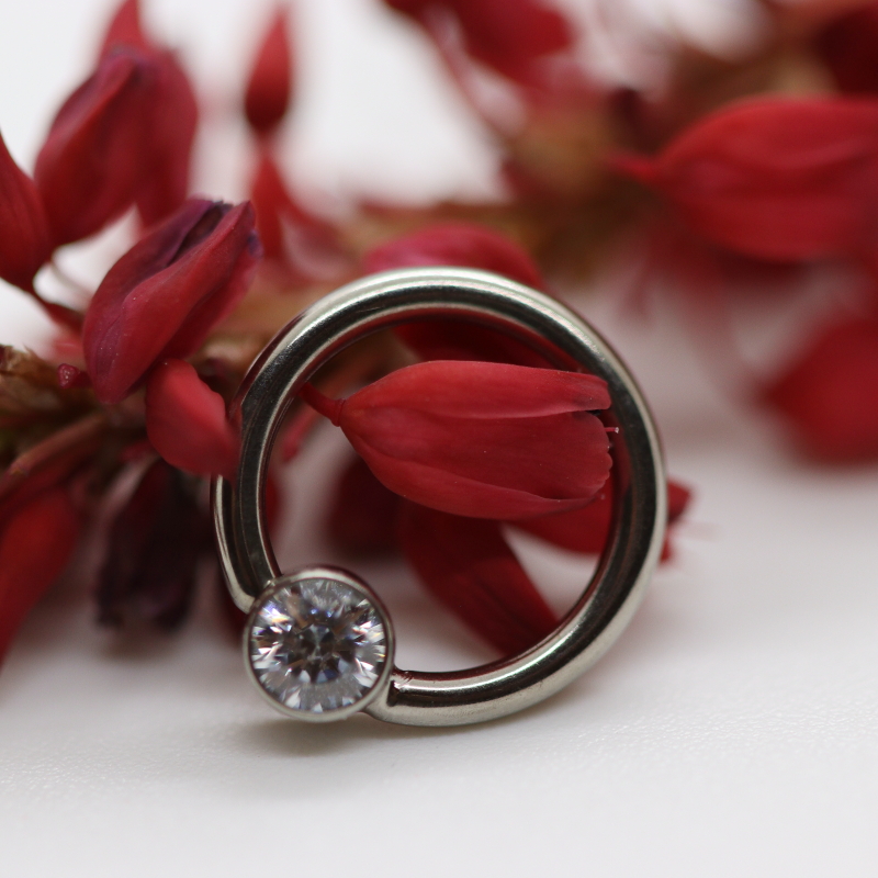 Fixed bezel ring - horizontal - WCZ