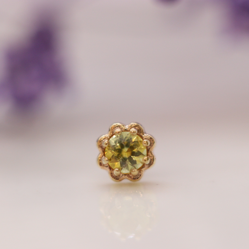 Dandy - Calico Montana Sapphire