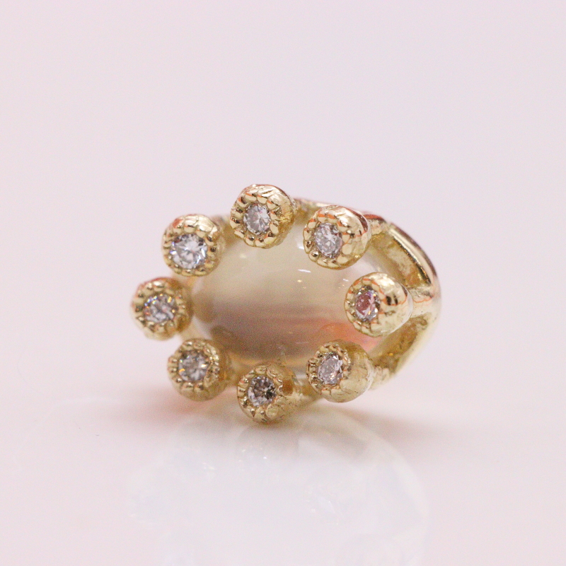 Pupil Hall GIVE 100 - Maximalism