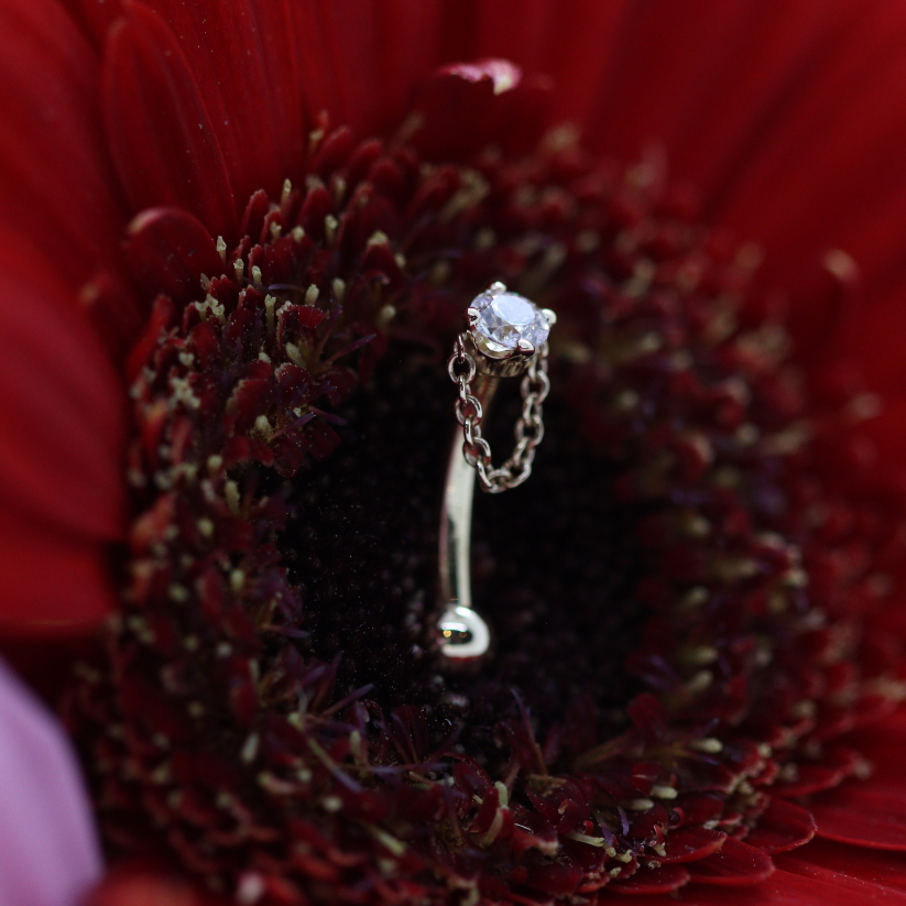 BVLA Rianna navel curve